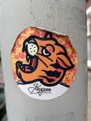 Spot