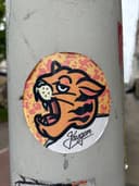 Spot