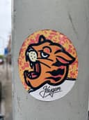 Spot