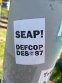Spot