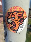 Spot