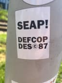 Spot