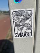 Spot