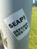 Spot