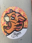 Spot