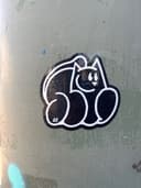 Spot