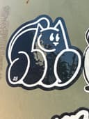 Spot