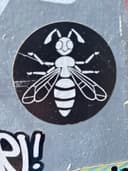 Spot