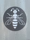 Spot