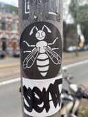 Spot