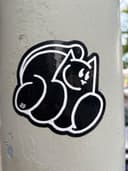 Spot