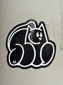 Spot