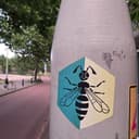 Spot