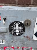 Spot