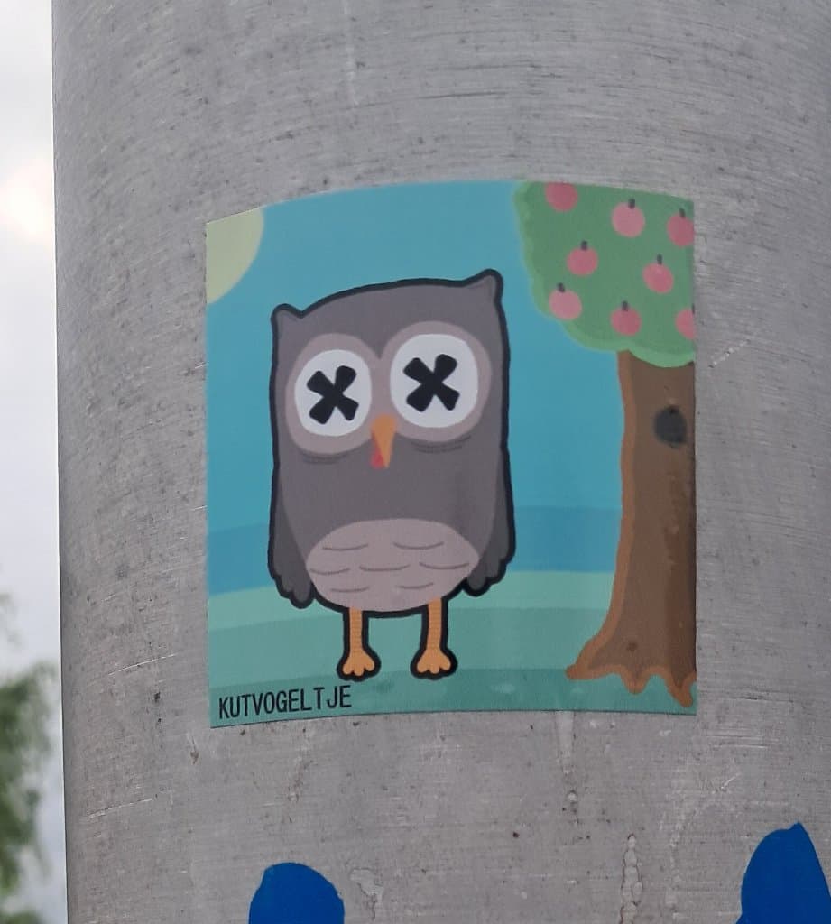 Kutvogeltje in de natuur